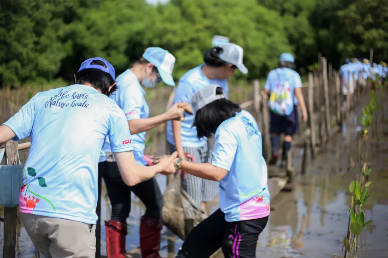 mangrove-planting-activity-2023-6