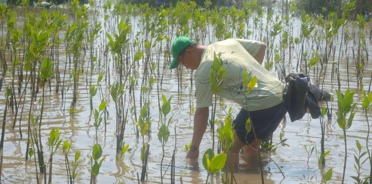 Mangrove03112024(5)